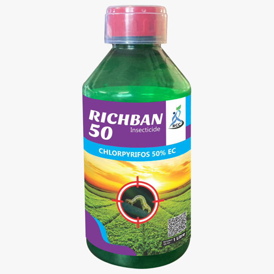 Richban 50